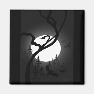Aimant Nuit enchantée