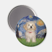 Aimant Nuit étoilée - Chiot Havanais (Recto/Verso)