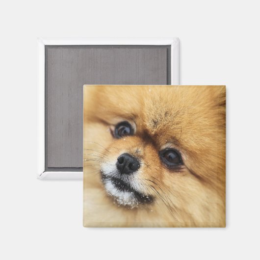 Aimant Numéro 1 (Recto/Verso)