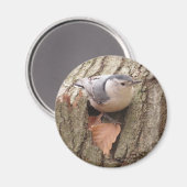Aimant Nuthatch (Recto/Verso)