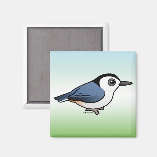 Aimant Nuthatch à poitrine blanche (Recto/Verso)
