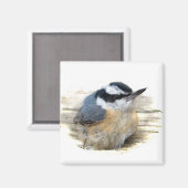 Aimant Nuthatch à poitrine rouge (Recto/Verso)