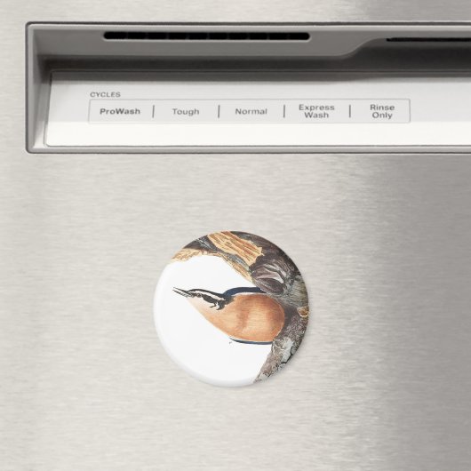 Aimant Nuthatch à poitrine rouge Audobon (In Situ (Lave-vaisselle))