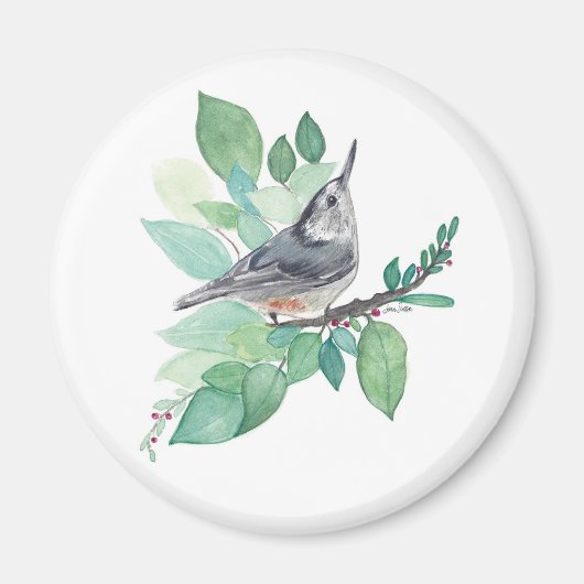 Aimant Nuthatch Sur Branche (Devant)