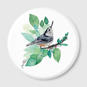 Aimant Nuthatch Sur Branche