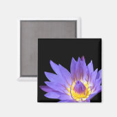Aimant Nymphaea (Recto/Verso)