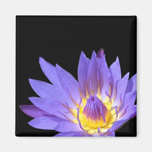 Aimant Nymphaea (Devant)