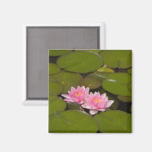 Aimant Nymphéas en fleurs (Recto/Verso)