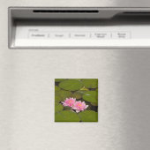 Aimant Nymphéas en fleurs (In Situ (Lave-vaisselle))