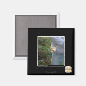 Aimant O hai (Recto/Verso)