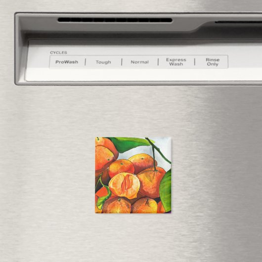 Aimant Oaquarelle mandarine (In Situ (Lave-vaisselle))