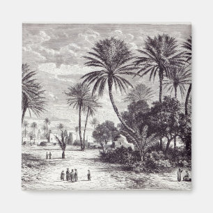 Aimant Oasis de Gafsa : Tunis