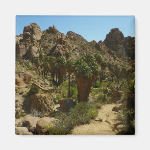 Aimant Oasis de Lost Palms II au parc national de Joshua