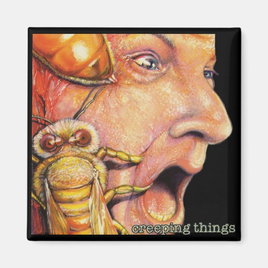 Aimant OBA, pochette d'album "rameping things" (Devant)