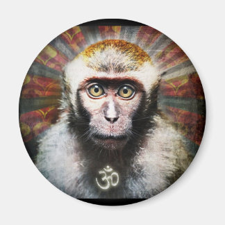 Aimant obéir à mon singe
