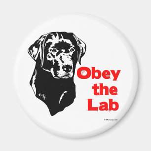 Aimant Obéissez le laboratoire