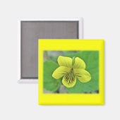 Aimant Objets de coordination de violette jaune sauvage (Recto/Verso)