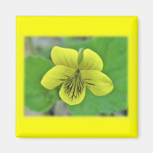 Aimant Objets de coordination de violette jaune sauvage