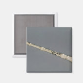 Aimant Oboe (Recto/Verso)