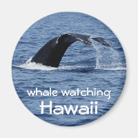Observation des baleines, Hawaii