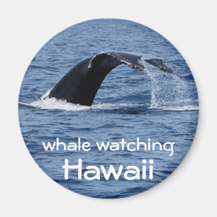 Aimant Observation des baleines, Hawaii