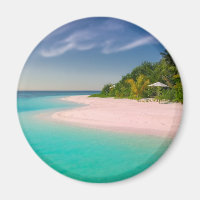 Océan aigue-marine Plage tropicale Paysage