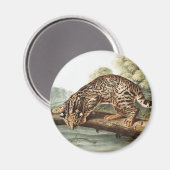 Aimant Ocelot, chat léopard (Felis pardalis) Illustration (Recto/Verso)