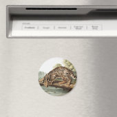 Aimant Ocelot, chat léopard (Felis pardalis) Illustration (In Situ (Lave-vaisselle))