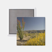 Aimant Ocotillo et senné du désert (Recto/Verso)