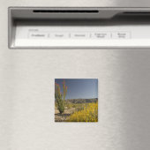Aimant Ocotillo et senné du désert (In Situ (Lave-vaisselle))