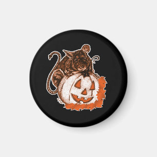 Aimant Octobre Rat orange sur l'aimant Citrouille Hallowe