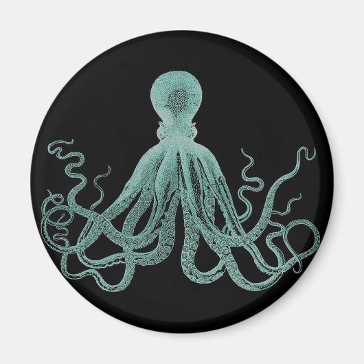Aimant octopus bleu (Devant)