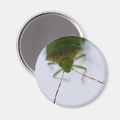 Aimant oculaire puant (Recto/Verso)