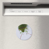 Aimant oculaire puant (In Situ (Lave-vaisselle))