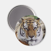 Aimant Oeil attentif (Recto/Verso)