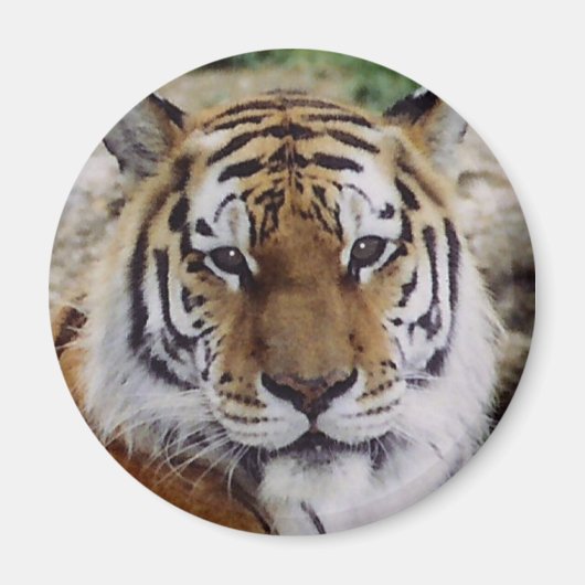 Aimant Oeil attentif (Devant)