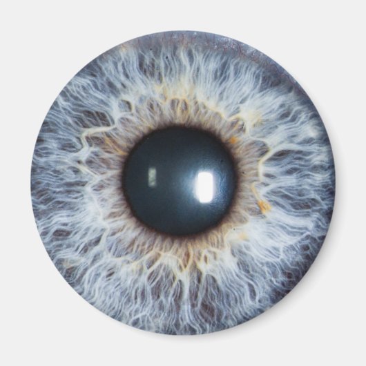 Aimant oeil bleu (Devant)