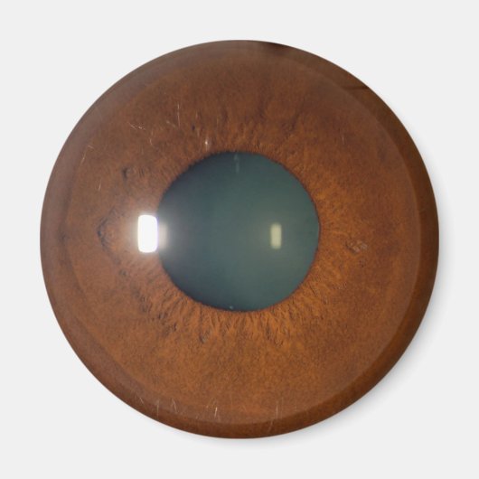 Aimant oeil Brown (Devant)