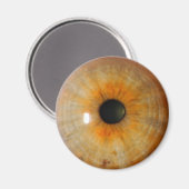 Aimant oeil brumeux aux épaves (Recto/Verso)