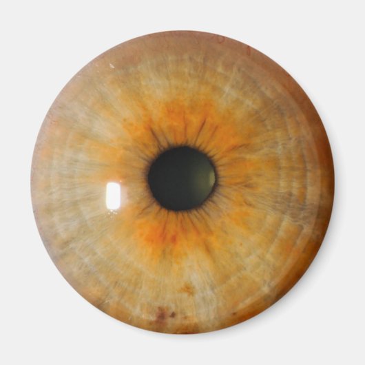 Aimant oeil brumeux aux épaves (Devant)