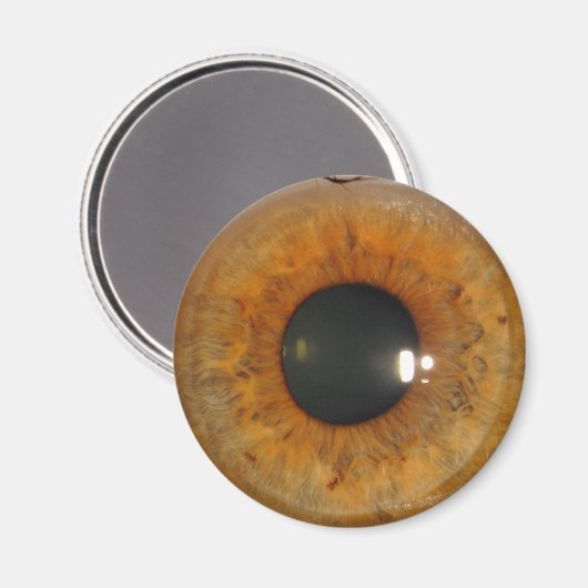 Aimant Oeil brun (Recto/Verso)