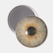 Aimant oeil brun clair (Recto/Verso)