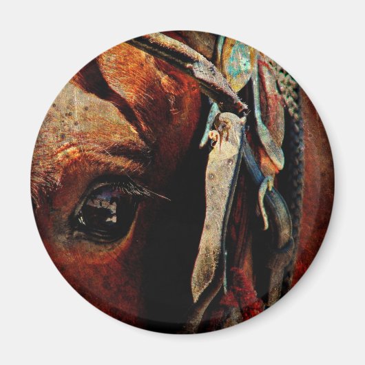 Aimant Oeil de Cheval Amish (Devant)