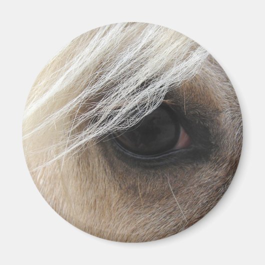 Aimant Œil de cheval Palomino (Devant)