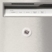 Aimant Œil de l'hyène – Collection Regards (In Situ (Lave-vaisselle))