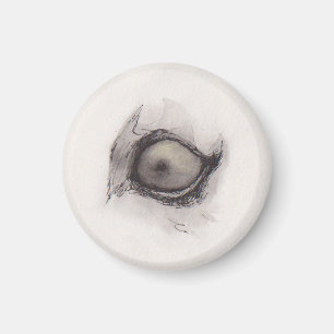Aimant Œil de l'hyène – Collection Regards
