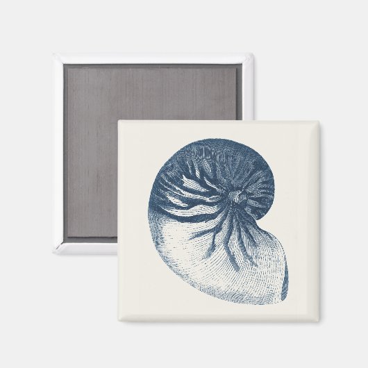 Aimant Oeil de requin Indigo (Recto/Verso)