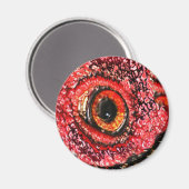 Aimant OEil de viande (Recto/Verso)