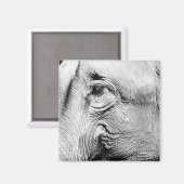 Aimant Oeil des éléphants, 2017 (Recto/Verso)