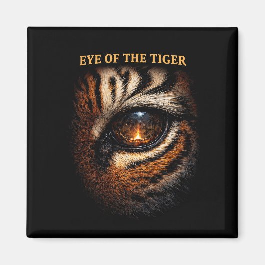Aimant Œil du Tigre (Devant)